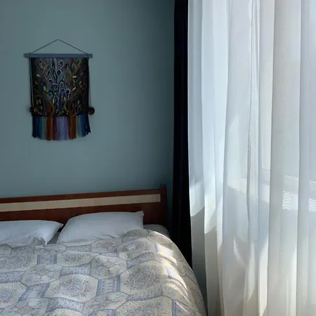 вишиванка Sheshory