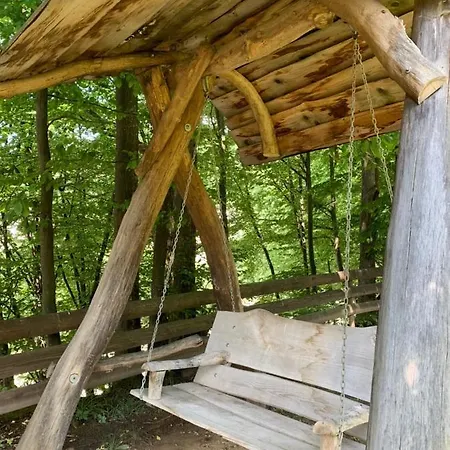 вишиванка Sheshory